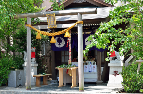 茶の木神社