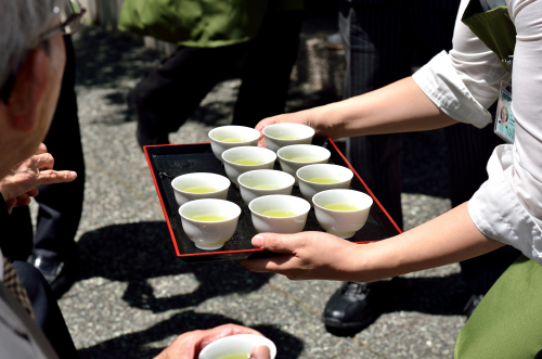 新茶